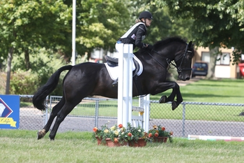 Senior National Club Championships 70cm, 80cm, 90cm, 1.00m